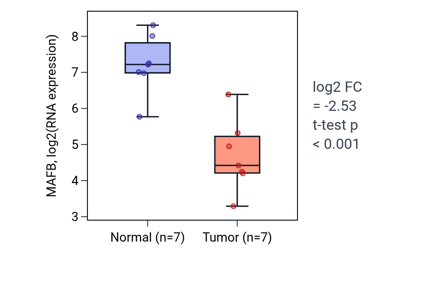 Tumor-vs-normal expression box plot for MAFB in THCA.