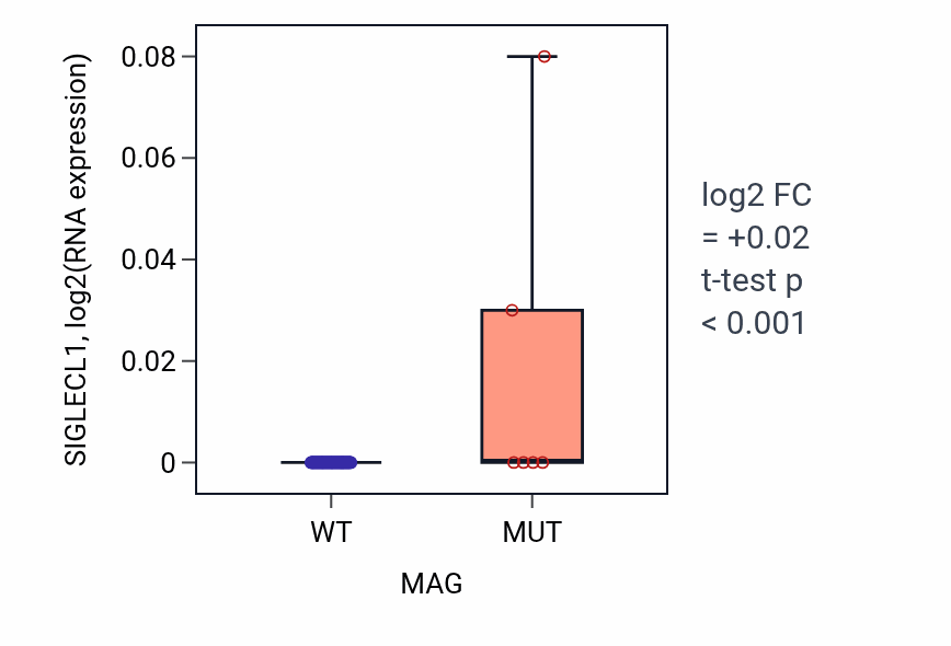 Box plot of SIGLECL1 in MAG-low vs MAG-high samples in LUNG_NSCLC_LUAD.
