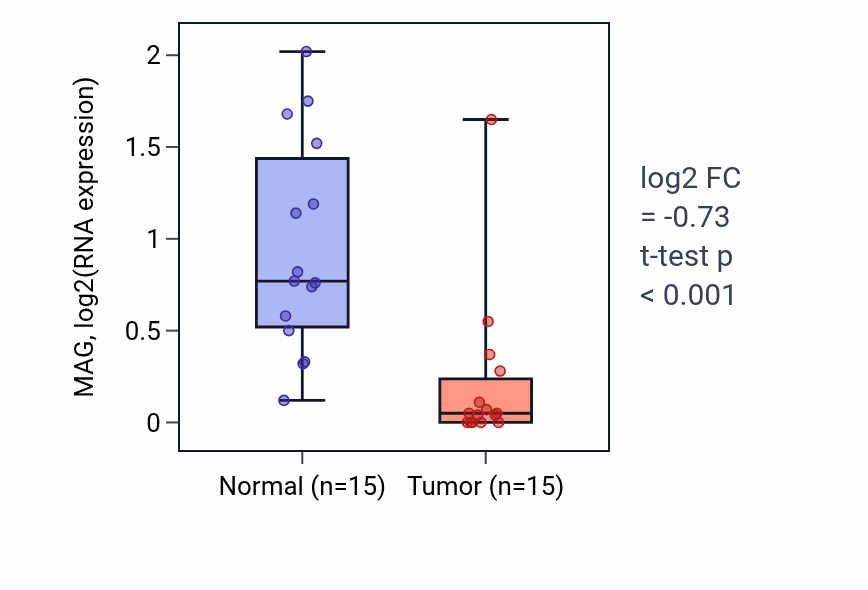 Tumor-vs-normal expression box plot for MAG RNA in LUAD.