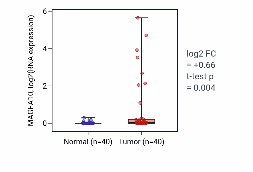 Tumor-vs-normal expression box plot for MAGEA10 in HNSC.