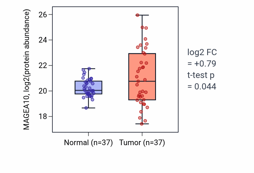 Tumor-vs-normal mass-spec protein box plot for MAGEA10 in HNSC.
