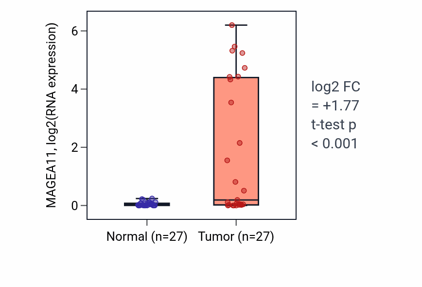 Tumor-vs-normal expression box plot for MAGEA11 in HNSC.