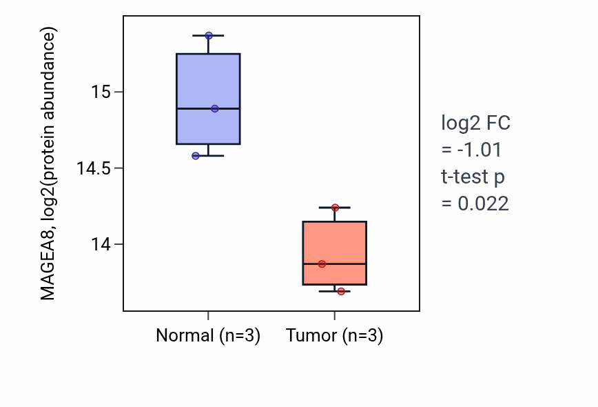 Tumor-vs-normal mass-spec protein box plot for MAGEA8 in LUAD.