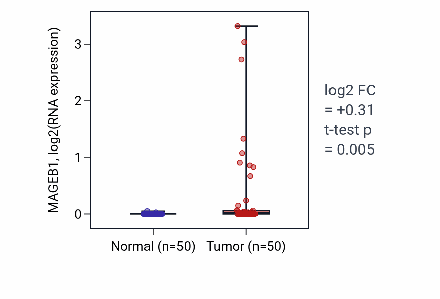 Tumor-vs-normal expression box plot for MAGEB1 in LIHC.
