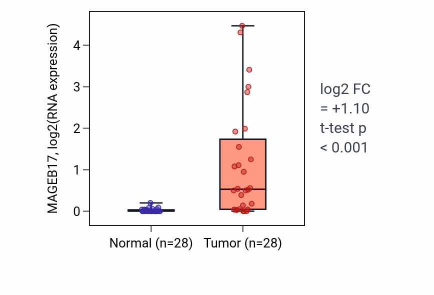Tumor-vs-normal expression box plot for MAGEB17 RNA in LIHC.
