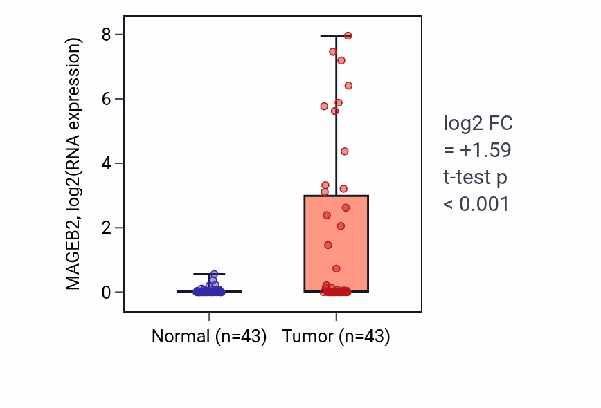 Tumor-vs-normal expression box plot for MAGEB2 RNA in HNSC.