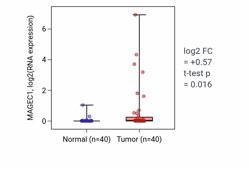 Tumor-vs-normal expression box plot for MAGEC1 in HNSC.