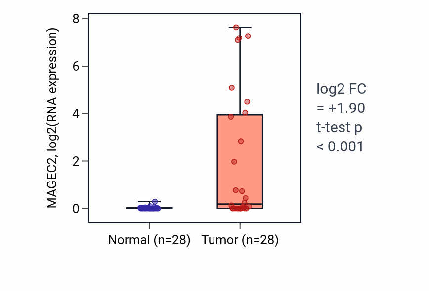 Tumor-vs-normal expression box plot for MAGEC2 RNA in LIHC.