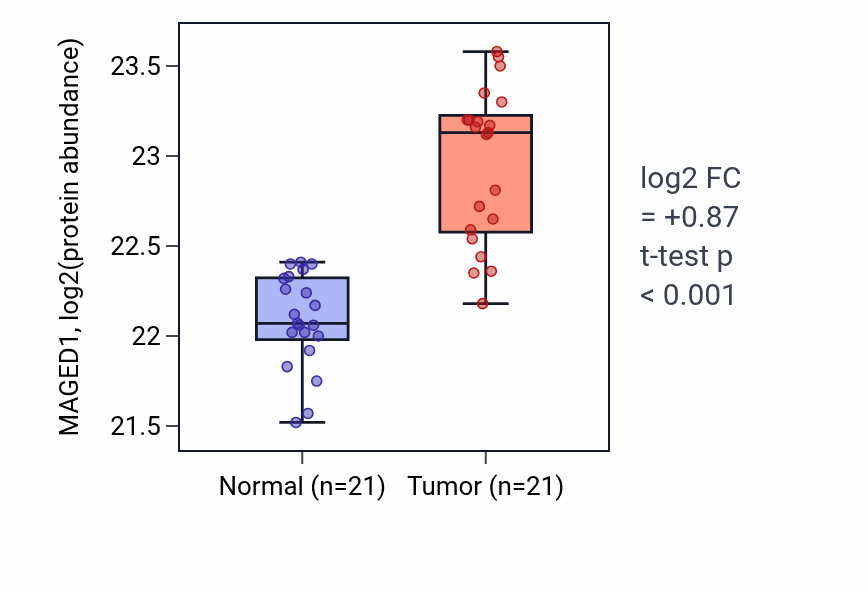 Tumor-vs-normal mass-spec protein box plot for MAGED1 in HNSC.