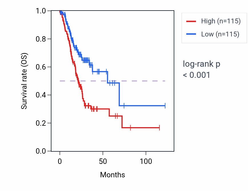 Kaplan&ndash;Meier survival curve for MAGED1 RNA-high vs -low samples in STAD.