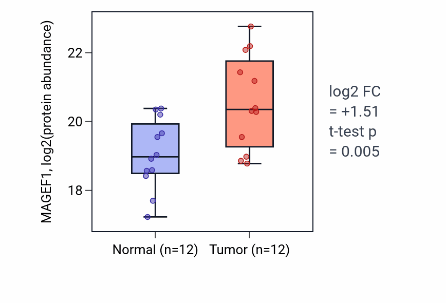 Tumor-vs-normal mass-spec protein box plot for MAGEF1 in LSCC.