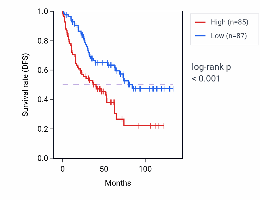 Kaplan&ndash;Meier survival curve for MAGI1-IT1 RNA expression in KIRC: high vs low expression groups.