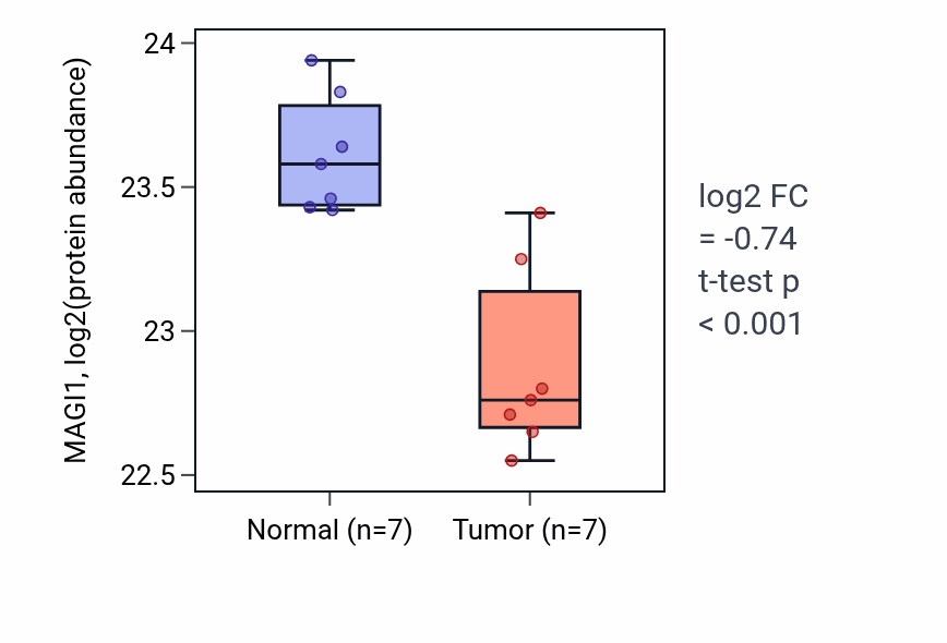 Tumor-vs-normal mass-spec protein box plot for MAGI1 in CCRCC.
