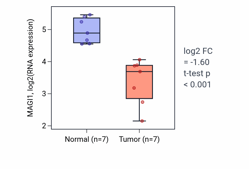 Tumor-vs-normal expression box plot for MAGI1 RNA in THCA.