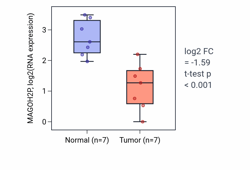 Tumor-vs-normal expression box plot for MAGOH2P RNA in THCA.