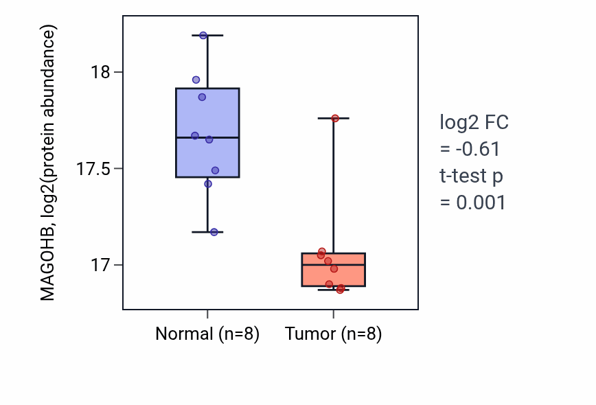 Tumor-vs-normal mass-spec protein box plot for MAGOHB in HNSC.