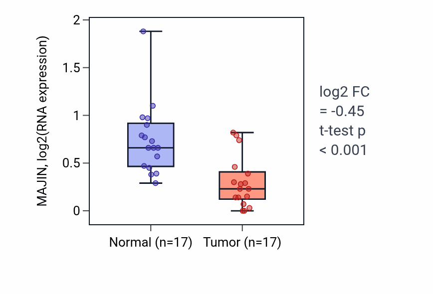 Tumor-vs-normal expression box plot for MAJIN RNA in THCA.