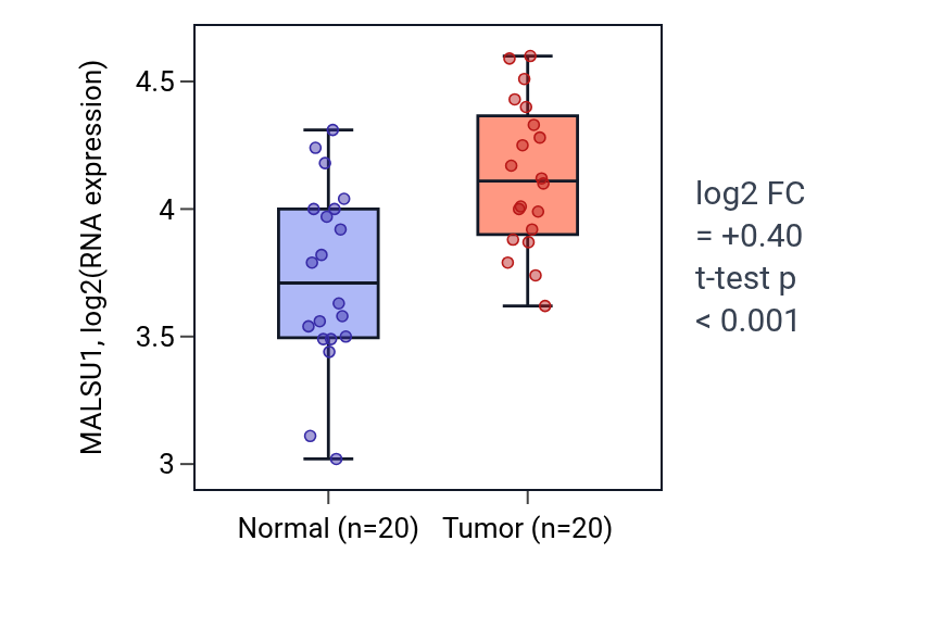 Tumor-vs-normal expression box plot for MALSU1 in KIRC.