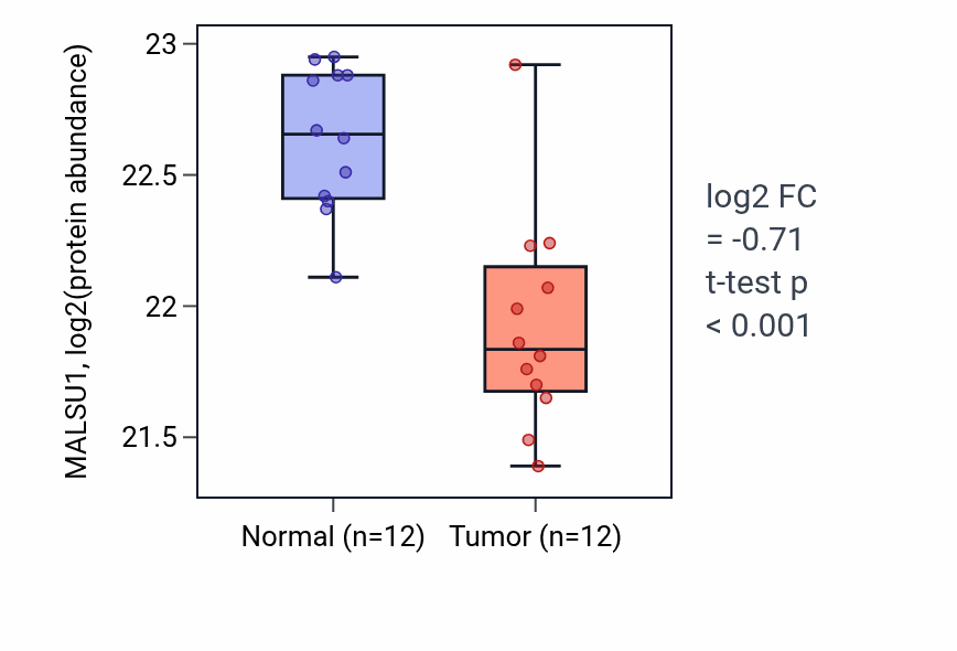 Tumor-vs-normal mass-spec protein box plot for MALSU1 in CCRCC.