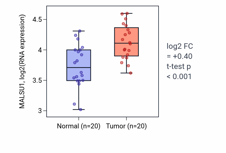 Tumor-vs-normal expression box plot for MALSU1 RNA in KIRC.