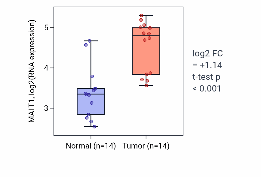 Tumor-vs-normal expression box plot for MALT1 RNA in KIRC.