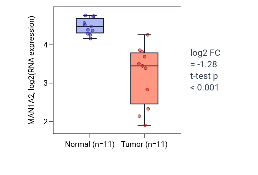 Tumor-vs-normal expression box plot for MAN1A2 in KICH.