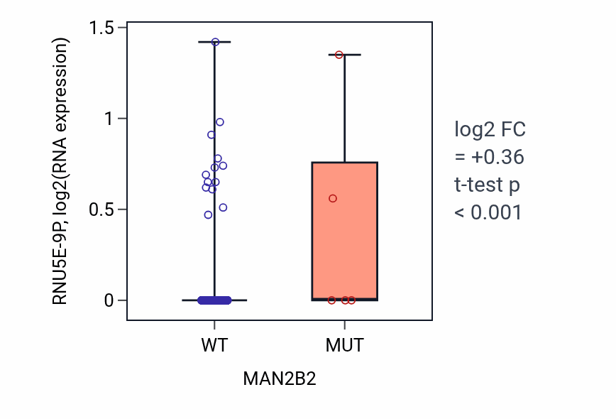Box plot of RNU5E-9P in MAN2B2-low vs MAN2B2-high samples in LGG.