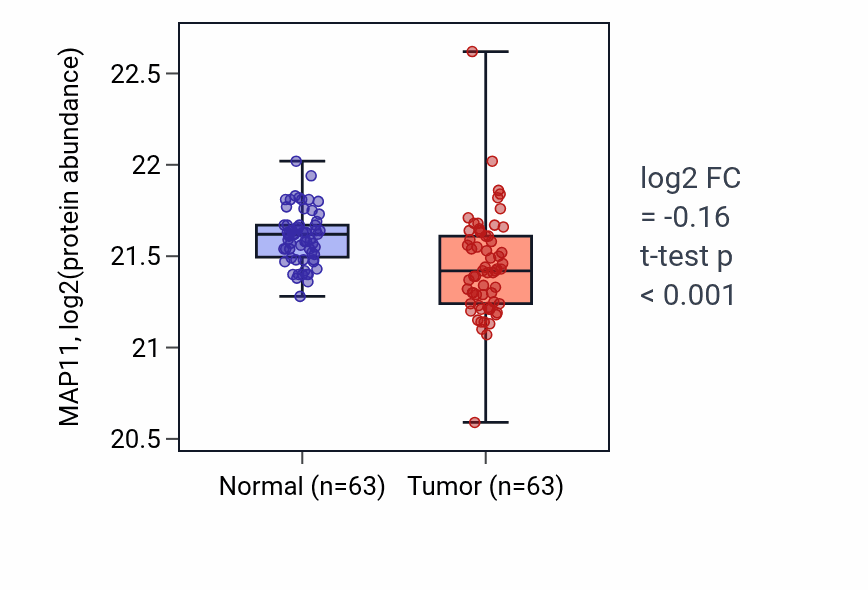 Tumor-vs-normal mass-spec protein box plot for MAP11 in CCRCC.