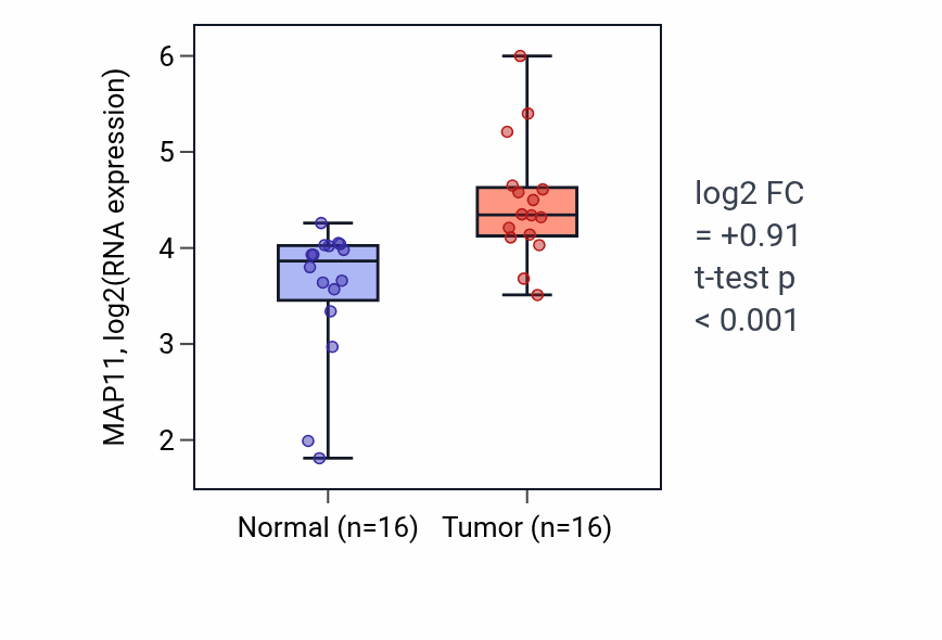 Tumor-vs-normal expression box plot for MAP11 RNA in HNSC.