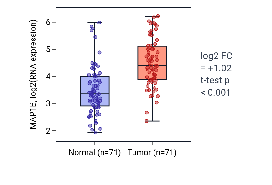 Tumor-vs-normal expression box plot for MAP1B in KIRC.