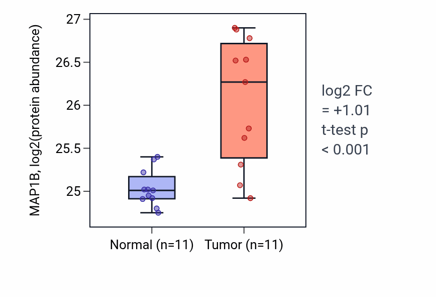 Tumor-vs-normal mass-spec protein box plot for MAP1B in CCRCC.