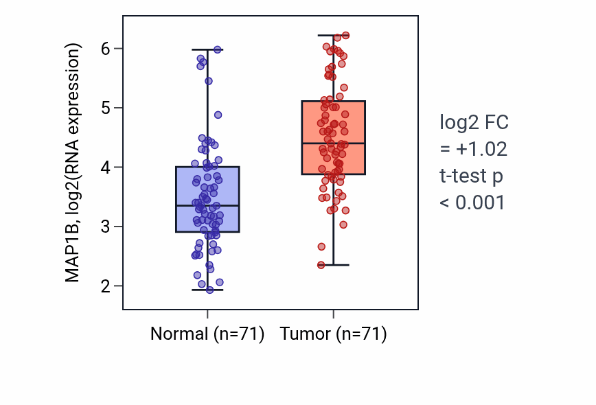 Tumor-vs-normal expression box plot for MAP1B RNA in KIRC.