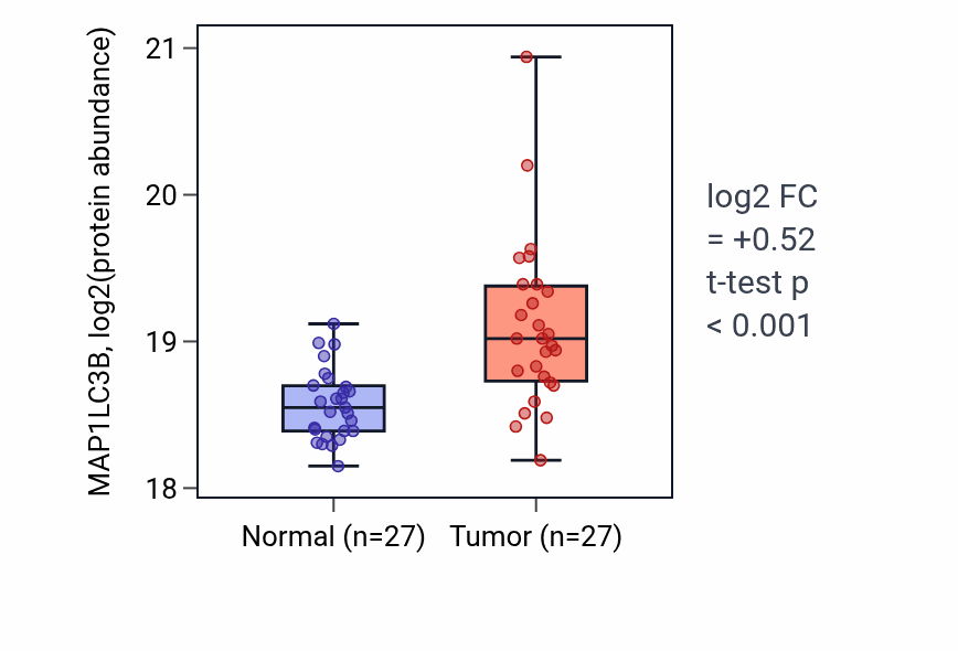 Tumor-vs-normal mass-spec protein box plot for MAP1LC3B in HNSC.