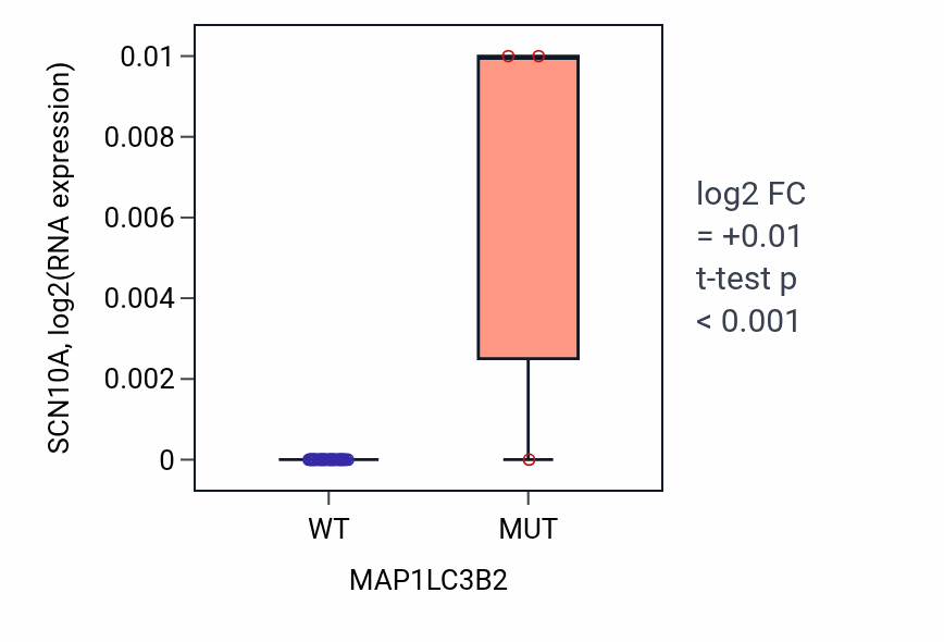 Box plot of SCN10A in MAP1LC3B2-low vs MAP1LC3B2-high samples in STOMACH.