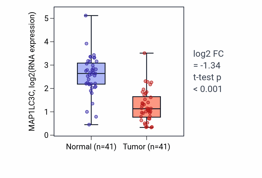 Tumor-vs-normal expression box plot for MAP1LC3C in THCA.