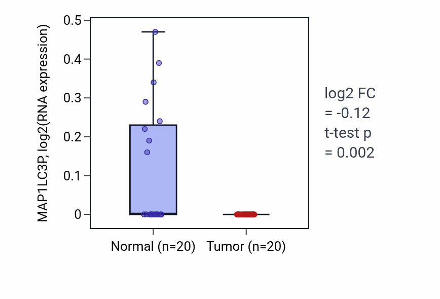 Tumor-vs-normal expression box plot for MAP1LC3P in COAD.