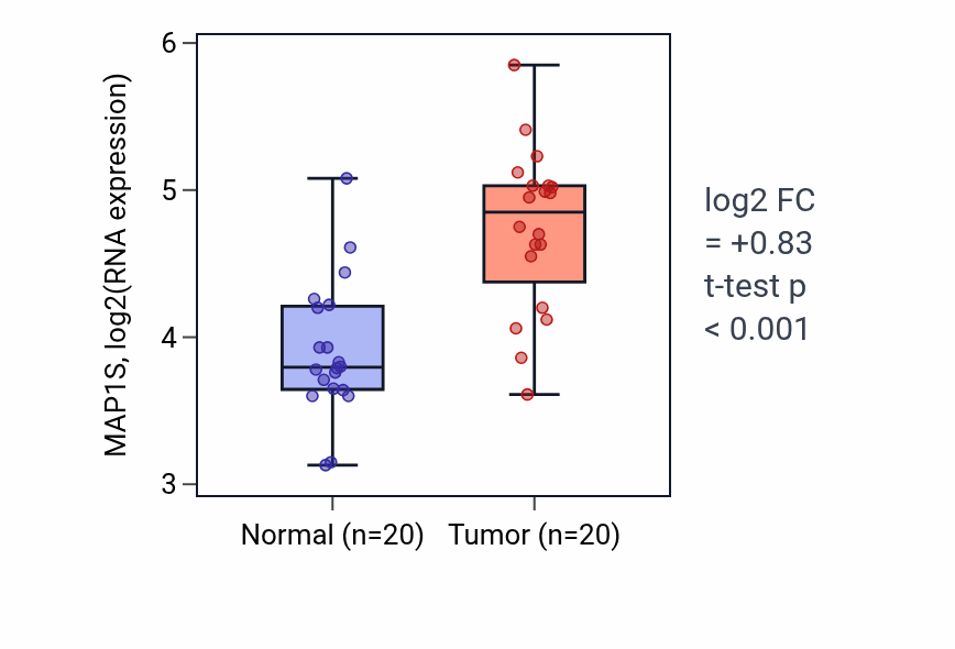 Tumor-vs-normal expression box plot for MAP1S RNA in KIRC.