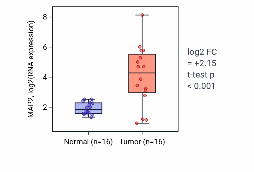 Tumor-vs-normal expression box plot for MAP2 RNA in KIRP.