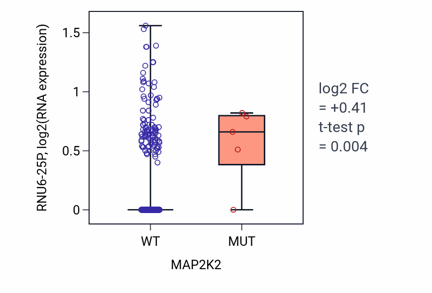 Box plot of RNU6-25P in MAP2K2-low vs MAP2K2-high samples in HNSC.