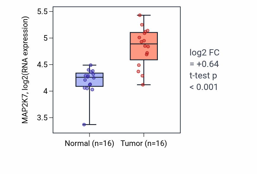 Tumor-vs-normal expression box plot for MAP2K7 RNA in HNSC.