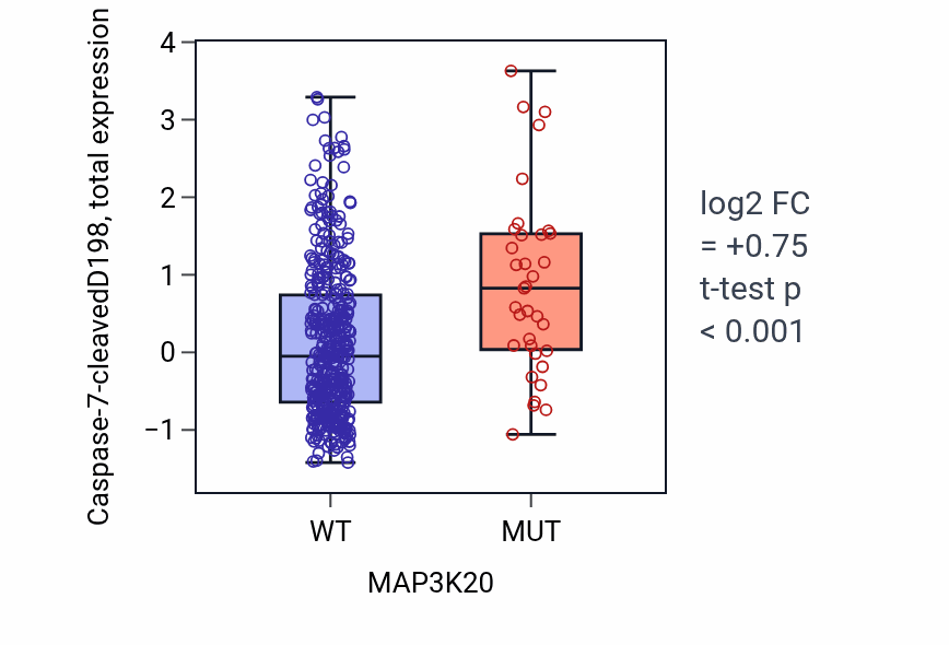Box plot of Caspase-7-cleavedD198 in MAP3K20-low vs MAP3K20-high samples in UCEC.