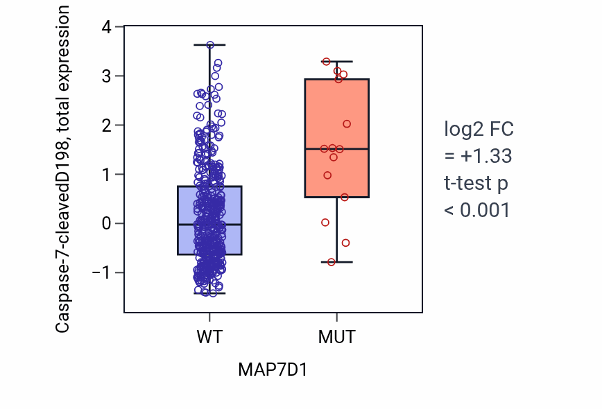 Box plot of Caspase-7-cleavedD198 in MAP7D1-low vs MAP7D1-high samples in UCEC.