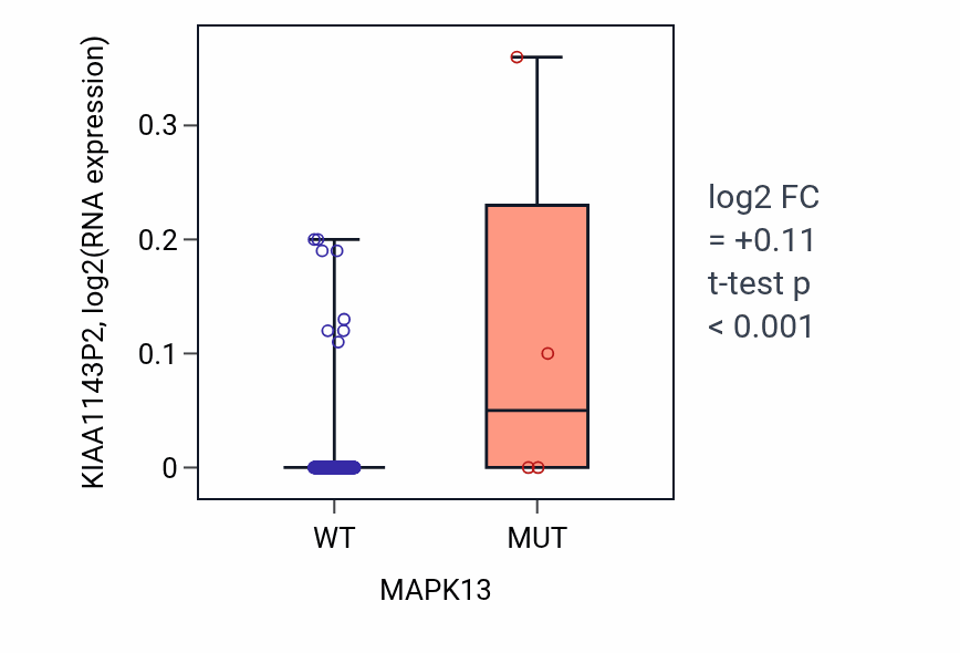 Box plot of KIAA1143P2 in MAPK13-low vs MAPK13-high samples in CESC.
