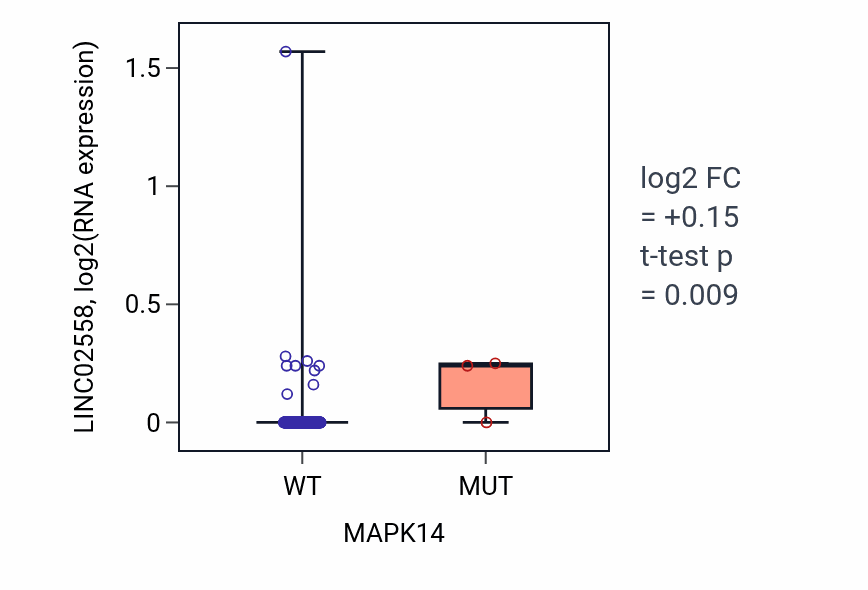 Box plot of LINC02558 in MAPK14-low vs MAPK14-high samples in CESC.