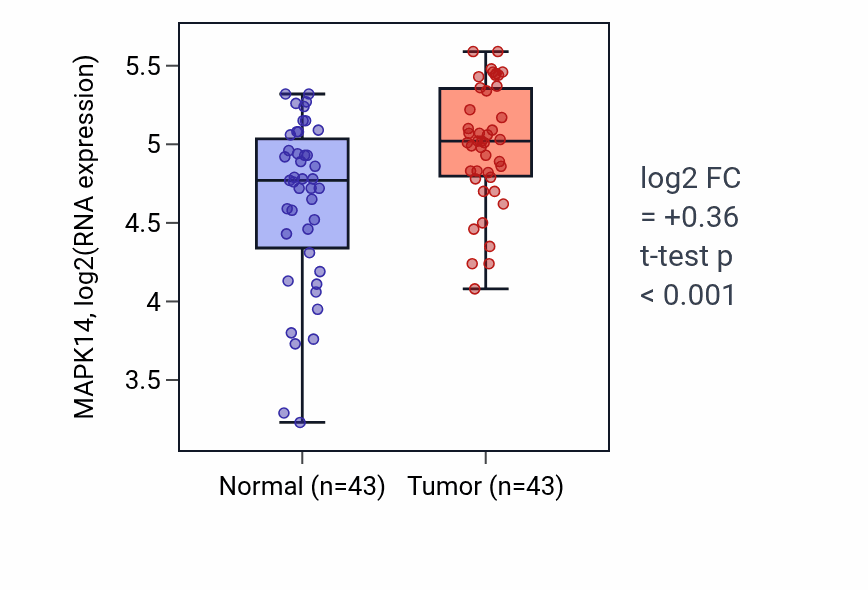 Tumor-vs-normal expression box plot for MAPK14 RNA in HNSC.
