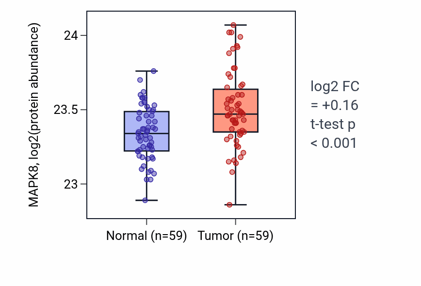 Tumor-vs-normal mass-spec protein box plot for MAPK8 in HNSC.