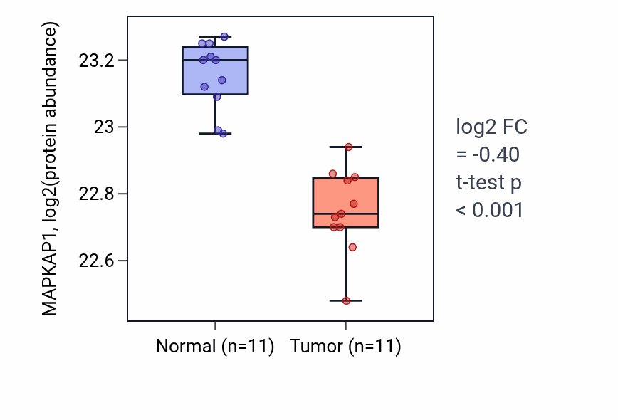 Tumor-vs-normal mass-spec protein box plot for MAPKAP1 in CCRCC.