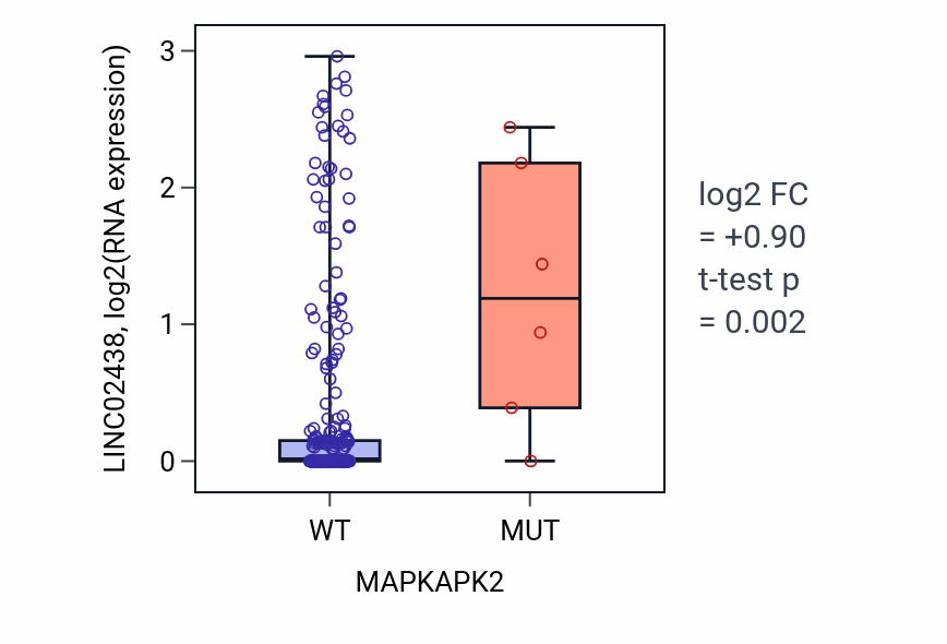 Box plot of LINC02438 in MAPKAPK2-low vs MAPKAPK2-high samples in CESC.