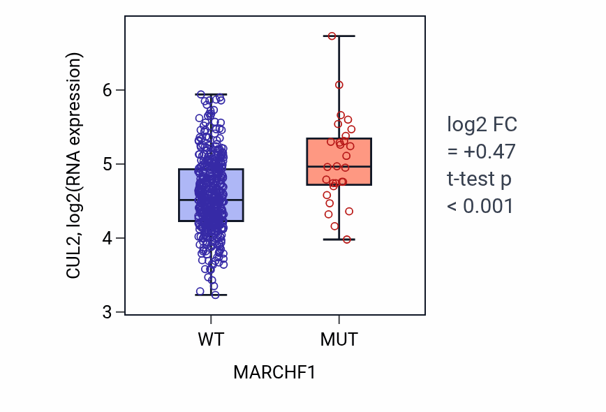 Box plot of CUL2 in MARCHF1-low vs MARCHF1-high samples in LUAD.