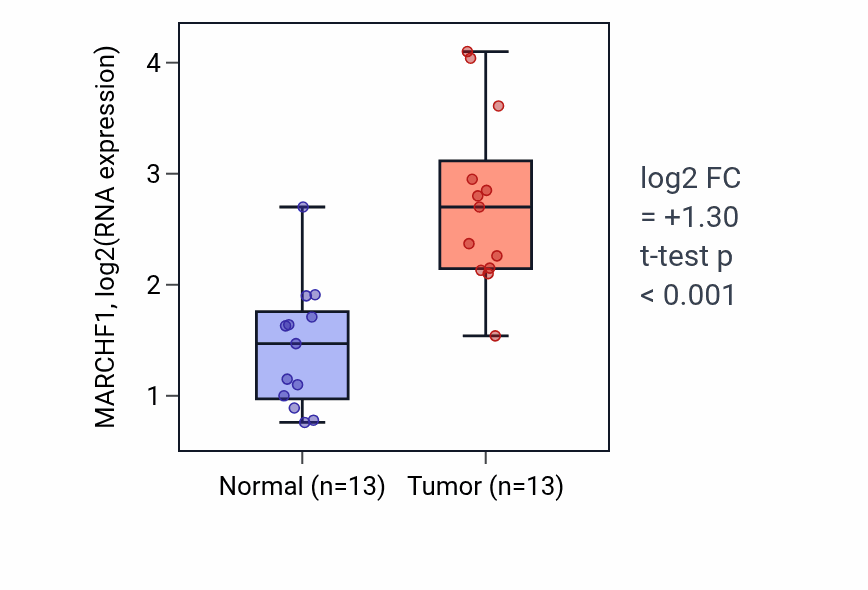 Tumor-vs-normal expression box plot for MARCHF1 RNA in KIRC.